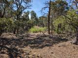 TBD Fishers Peak Ranch Pkwy - Photo 9