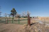 3538 County Road 110 - Photo 36