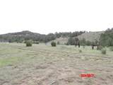 20021 Colorado 12 - Photo 30