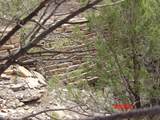 20021 Colorado 12 - Photo 35
