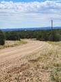 TBD Navajo Ranch Resort - Photo 4