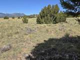131 Navajo Ranch Resorts - Photo 9