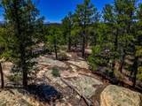 TBD Timber Valley Drive - Photo 12