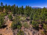 TBD Timber Valley Drive - Photo 15