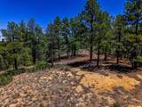 TBD Timber Valley Drive - Photo 17