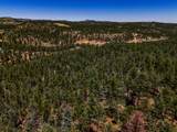 TBD Timber Valley Drive - Photo 18