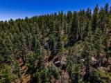 TBD Timber Valley Drive - Photo 21