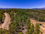 TBD Timber Valley Drive - Photo 23