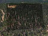 TBD Timber Valley Drive - Photo 5