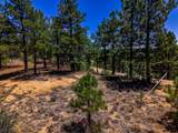 TBD Timber Valley Drive - Photo 9