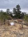 TBD County Rd 31.9 - Photo 29