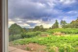 33041 Big Springs Overlook - Photo 31
