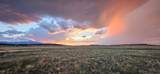 65 Ghost River Ranch - Photo 1