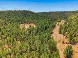 17775 County Road 51.0 - Photo 25