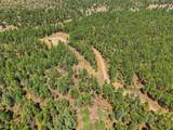 17775 County Road 51.0 - Photo 30