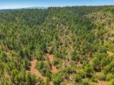 17775 County Road 51.0 - Photo 33
