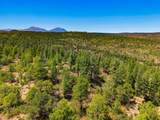 17775 County Road 51.0 - Photo 40