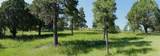 33233 Fox Trail - Photo 45