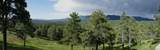 33233 Fox Trail - Photo 47