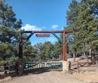 33233 Fox Trail - Photo 60