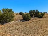 1606 Shamus Ct - Photo 11