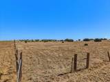 1606 Shamus Ct - Photo 24