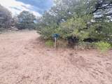  Lot 17 Navajo Ranch Resort - Photo 10