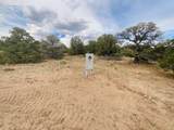  Lot 17 Navajo Ranch Resort - Photo 11