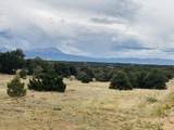  Lot 17 Navajo Ranch Resort - Photo 12