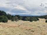  Lot 17 Navajo Ranch Resort - Photo 13