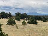  Lot 17 Navajo Ranch Resort - Photo 14