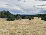  Lot 17 Navajo Ranch Resort - Photo 16
