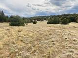  Lot 17 Navajo Ranch Resort - Photo 17