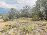  Lot 17 Navajo Ranch Resort - Photo 18