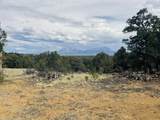  Lot 17 Navajo Ranch Resort - Photo 21