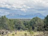  Lot 17 Navajo Ranch Resort - Photo 22