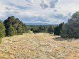  Lot 17 Navajo Ranch Resort - Photo 24