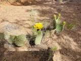  Lot 17 Navajo Ranch Resort - Photo 26
