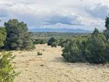  Lot 17 Navajo Ranch Resort - Photo 27