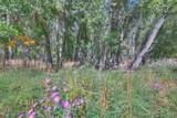37401 Us-160 Pkwy - Photo 11