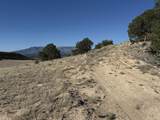26 Turkey Creek Ranch - Photo 10