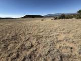 26 Turkey Creek Ranch - Photo 11