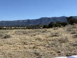 26 Turkey Creek Ranch - Photo 15