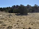26 Turkey Creek Ranch - Photo 16