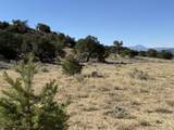 26 Turkey Creek Ranch - Photo 17