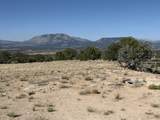 26 Turkey Creek Ranch - Photo 2