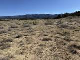 26 Turkey Creek Ranch - Photo 21