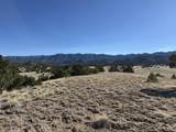 26 Turkey Creek Ranch - Photo 7