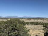 26 Turkey Creek Ranch - Photo 8