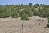 Lot #40 Unit # 4 (Commanche Dr) - Photo 6